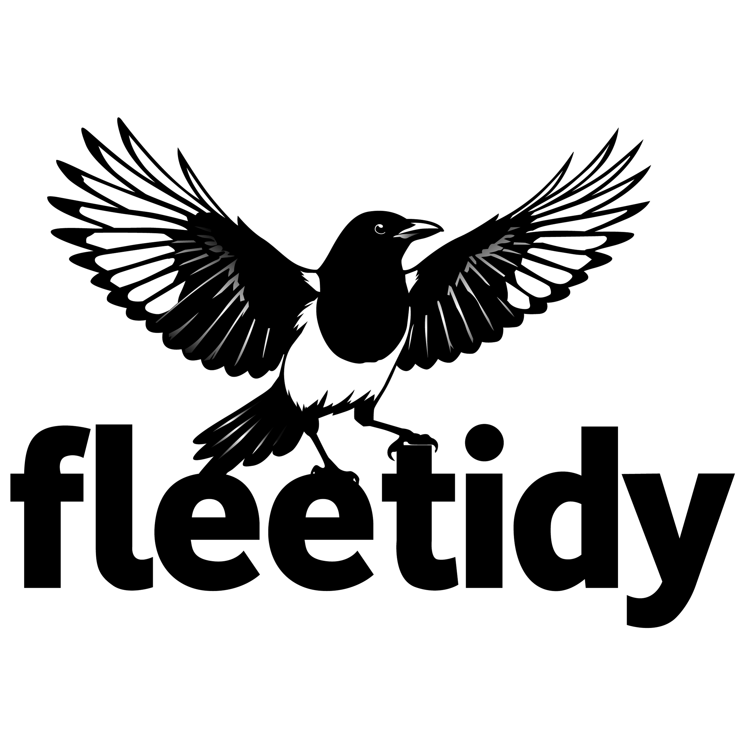 fleetidy logo